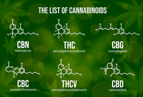 the list of cannabinoids, CBN cannabinol, THC tetrahydrocannabinol, CBG cannabigerol, CBC cannabichromene, THCV tetrahydrocannabivarin, CBD cannabidiol